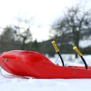 Luge