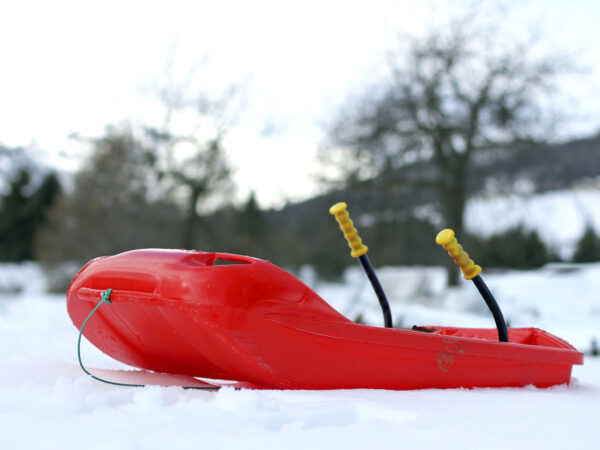 Luge